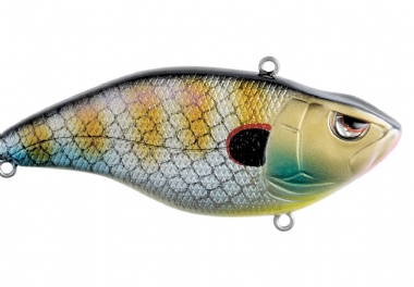 BLUE GILL