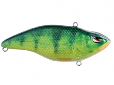 REAL PERCH #46