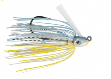 SEXY SHAD