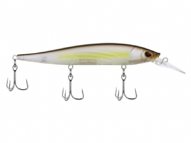STEALTH SHAD