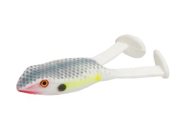 SEXY SHAD