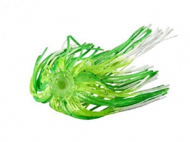 WHITE LIME CHARTREUSE