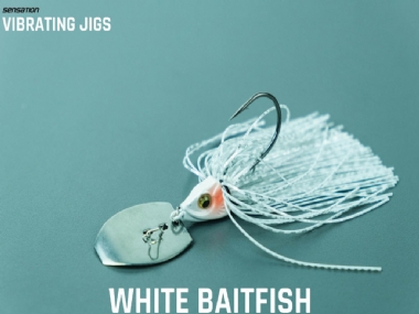 WHITE BAITFISH