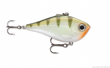 YELLOW PERCH