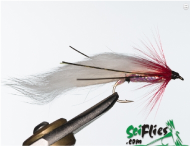 SCIENTIFIC FLIES ZONKER WHITE