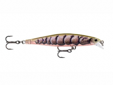 PURPLE PRAWN UV