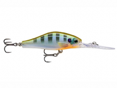 BLUEGILL 
