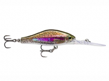 LIVE RAINBOW TROUT