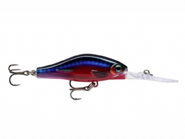 LIVE STICKLEBACK