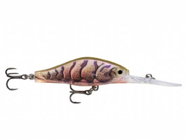 PURPLE PRAWN UV