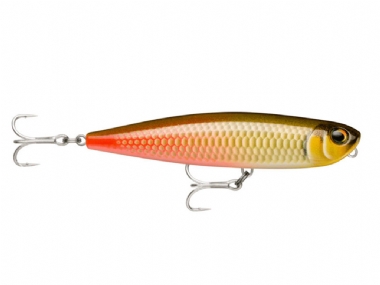 ARAPAIMA (APM)