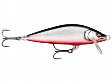 GILDED RED BELLY (GDRB)