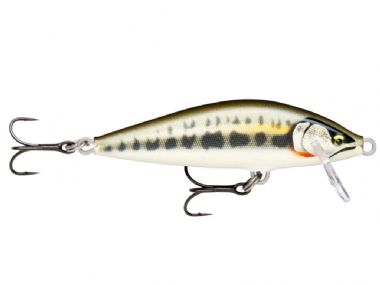 GILDED MINNOW (GDMN)
