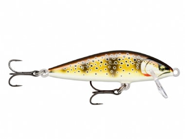 GILDED MEDITERRANEAN TROUT (GDMT)