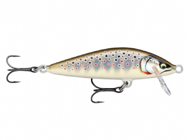GILDED BROWN TROUT (GDBT)
