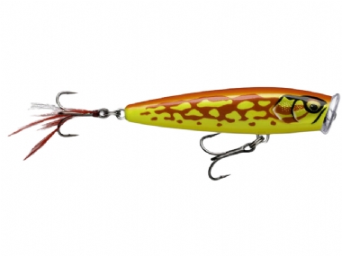 GILDED ORANGE FROG (GDOF)