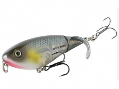 BLUE SHAD