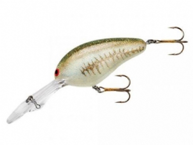BABY BASS