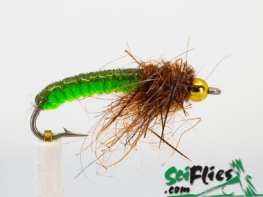 SCIENTIFIC FLIES ANTON ROCKWORM