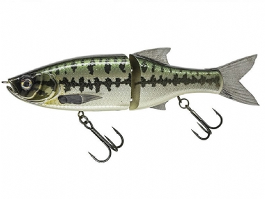 BABY BASS (123)