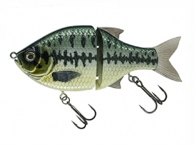 BABY BASS (123)