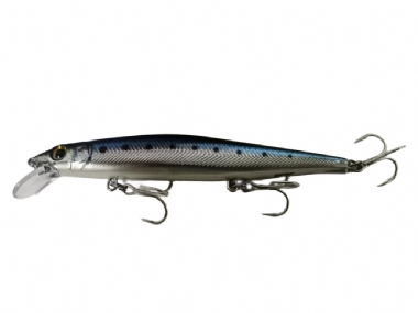 LIVE BLUE SARDINE (BSRDL)
