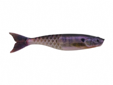 HD BLUEGILL