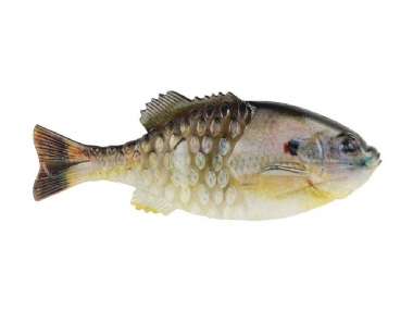 HD SUNFISH
