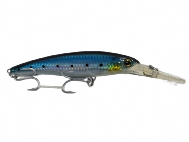 SARDINE