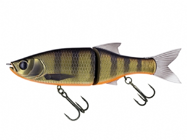 DARK GILL ORANGE BELLY (481)