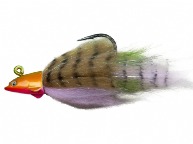 BAITFISH