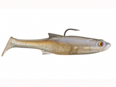 BLACKBACK SHAD