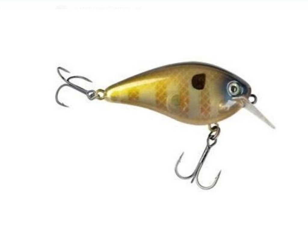 STRIKE KING KVD SQUAREBILL 1.5 HARD KNOCK CRANKBAIT