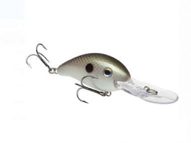 GIZZARD SHAD