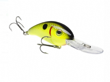 BLACK BACK CHARTREUSE