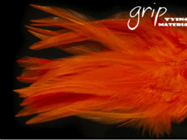 HOT ORANGE