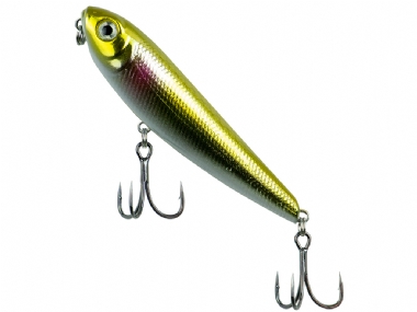 GOLDEN SHINER