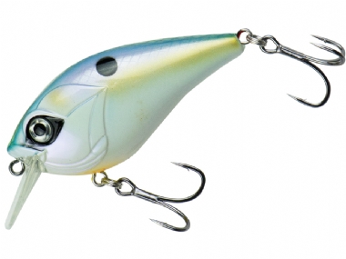 DINNERBELL