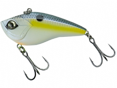 SEXY SHAD
