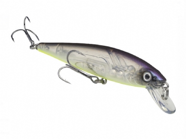 STROBE SHAD