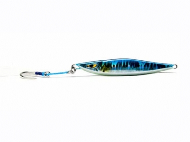 BLUE SARDINE