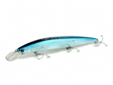 BLUE SHAD