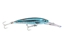 BLUE BONITO