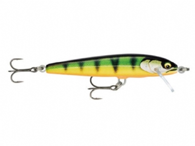 GILDED PERCH