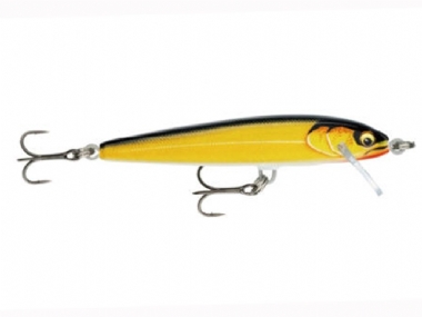 GILDED GOLD SHAD