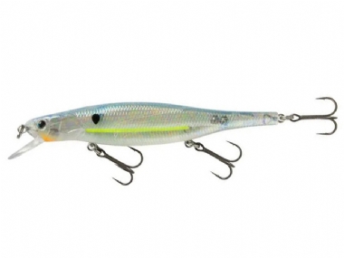 SEXY SHAD