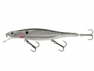 OZARK SHAD