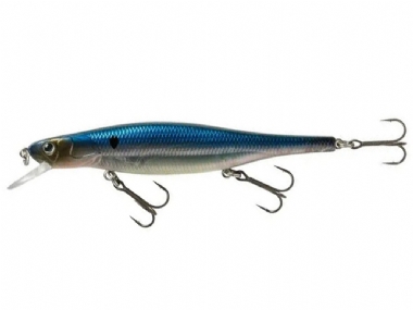 MIDNIGHT SHAD