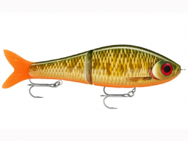 SCALED ROACH