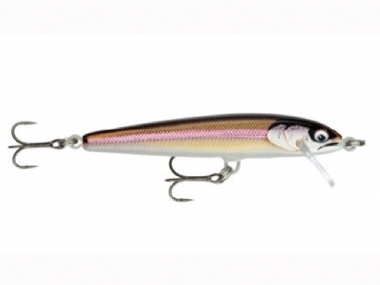 RAPALA FLOATER ELITE FE85